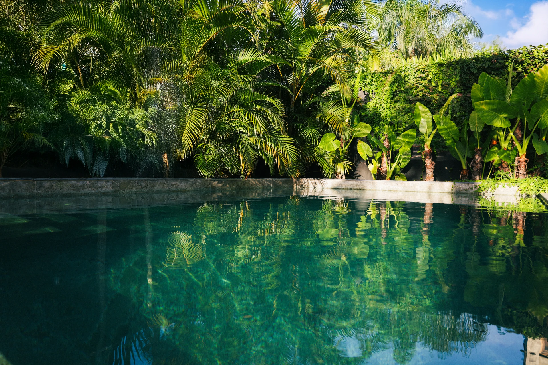 Cinematic House - Marble Pool View 3